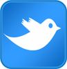 Twitter Logística Descomplicada