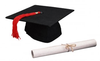 diploma  de tecnólogo pode fazer concurso de nível superior?