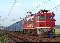 trem carga ferroviário solucao para o porto