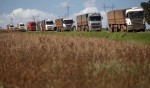 caos logistico