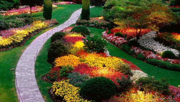 Como está o seu “jardim”?