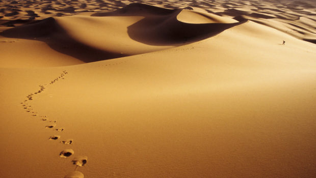 Caminhando no deserto